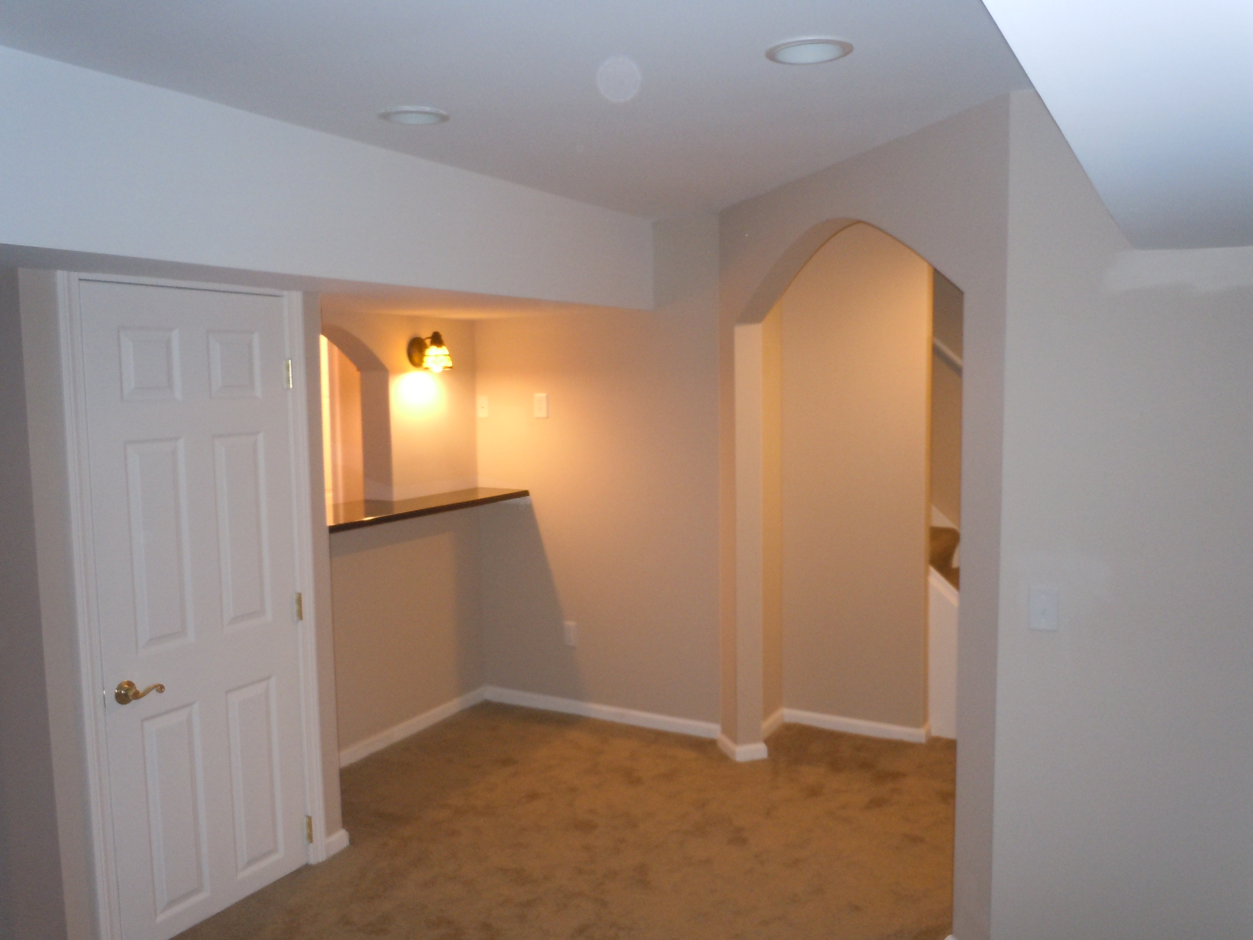 Basement Design Photos
